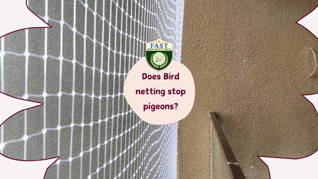 bird netting service