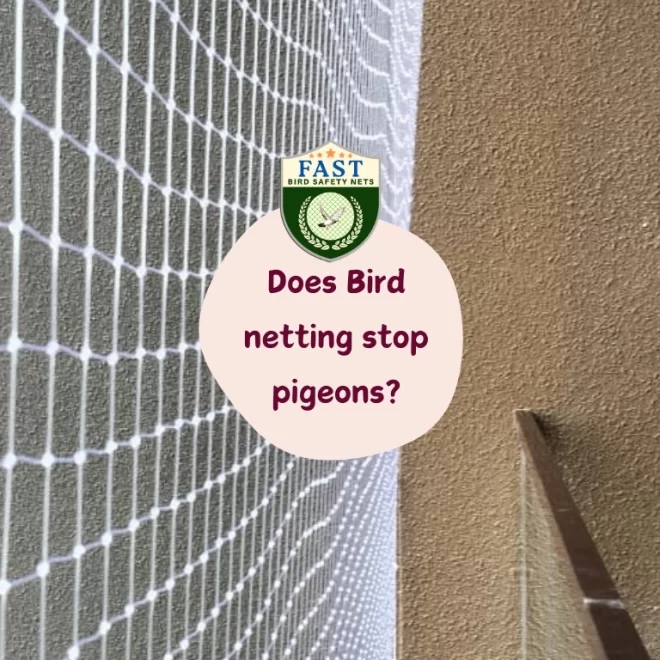 Does Bird Netting Stop Pigeons?