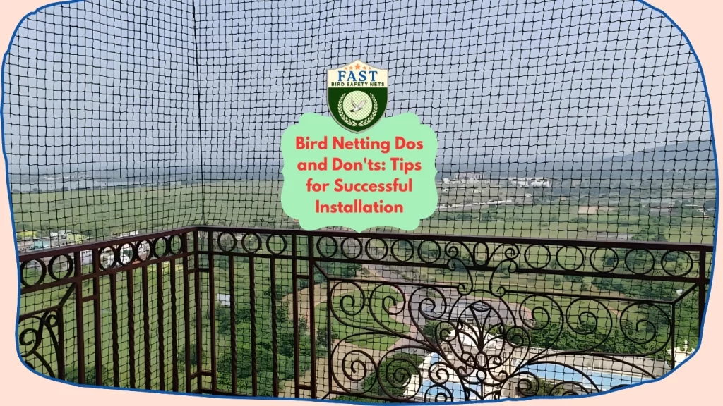 bird netting service near me