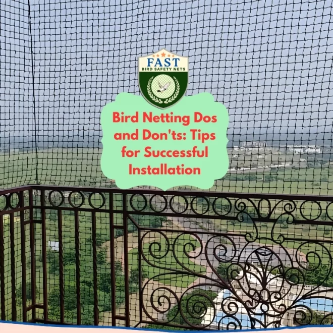Bird Netting Installation Dos and Don’ts: Tips for Successful Installation