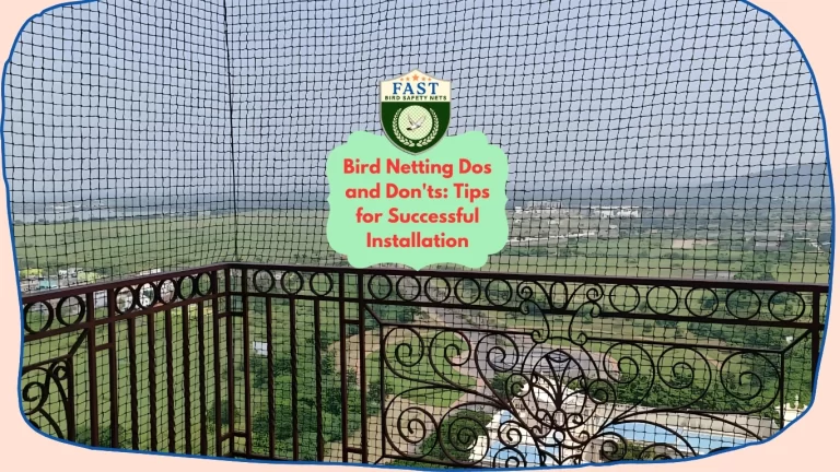 Bird Netting Installation Dos and Don’ts: Tips for Successful Installation