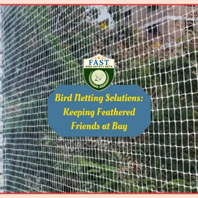 Bird Netting Solutions: Keeping Feathered Friends at Bay