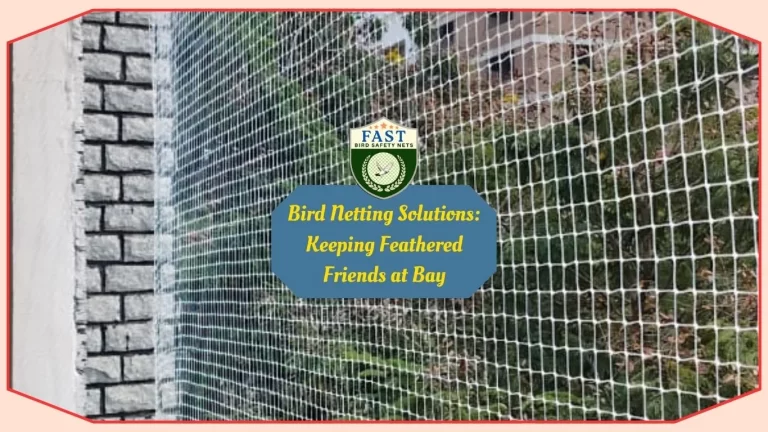 Bird Netting Solutions: Keeping Feathered Friends at Bay