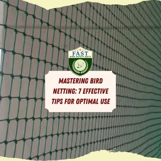 Mastering Bird Netting: 7 Effective Tips for Optimal Use