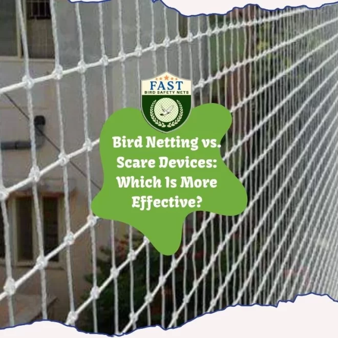 Bird Netting vs. Scare Devices: Which Is More Effective?