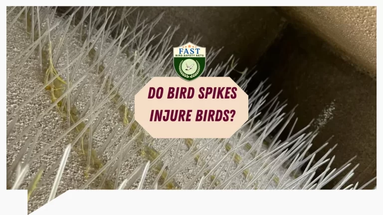 Do bird spikes injure birds?
