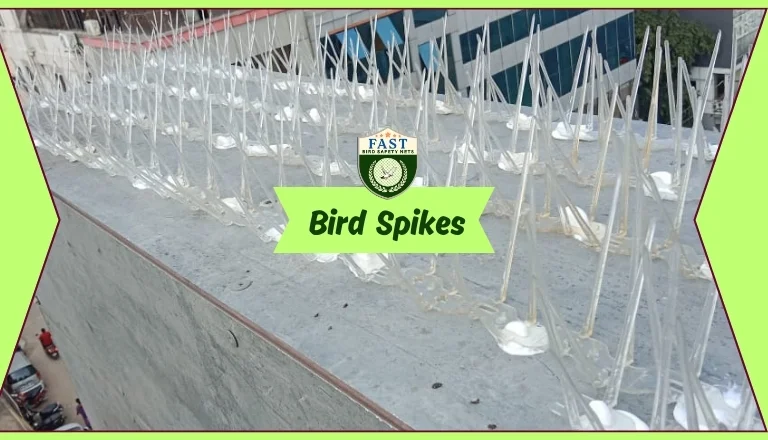 bird spikes fitting hyderabad