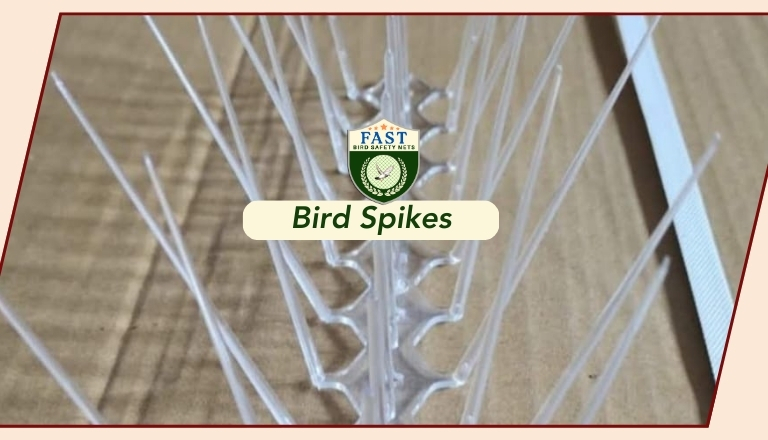 Bird Spikes for Bird Infestations