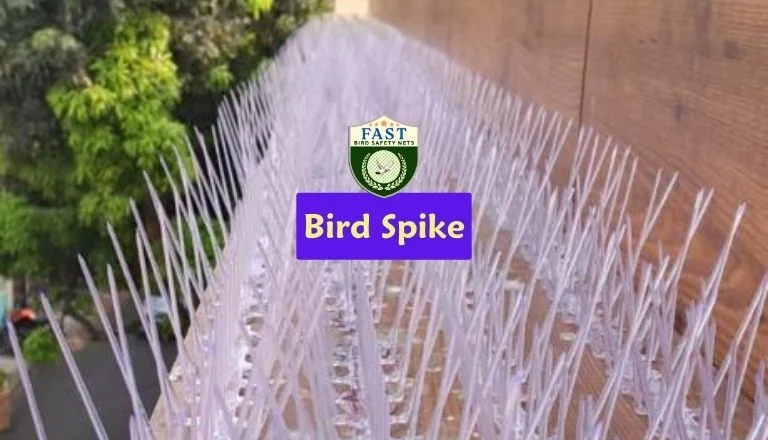 install bird spikes