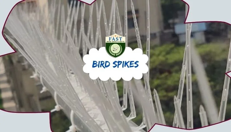 Bird Spikes