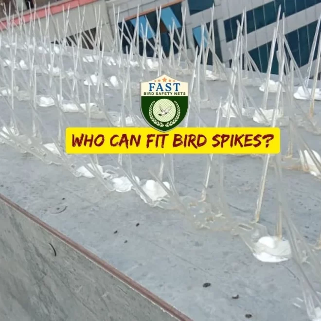 Who can Install bird spikes?