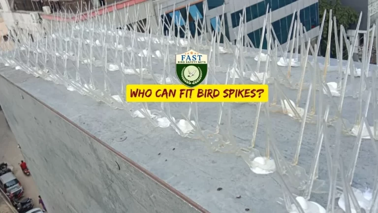 Who can Install bird spikes?