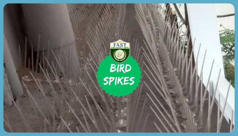 bird spikes fitting