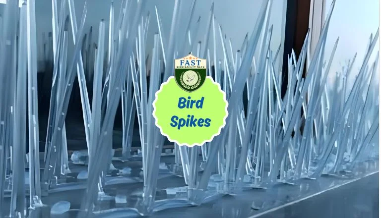 Bird Spikes