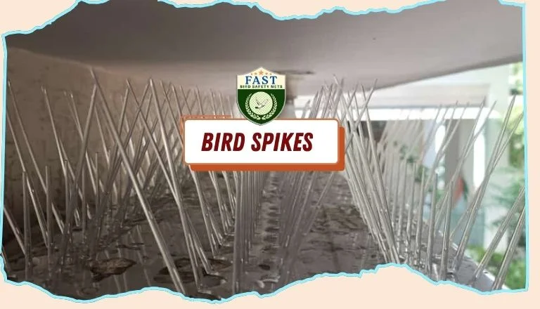 bird spikes fixing