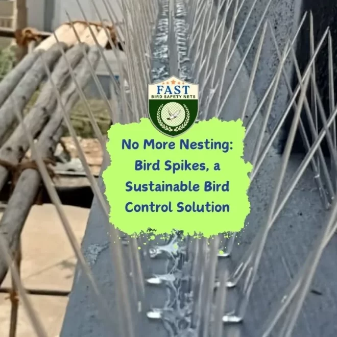 No More Nesting: Bird Deterrent Spike, a Sustainable Bird Control Solution