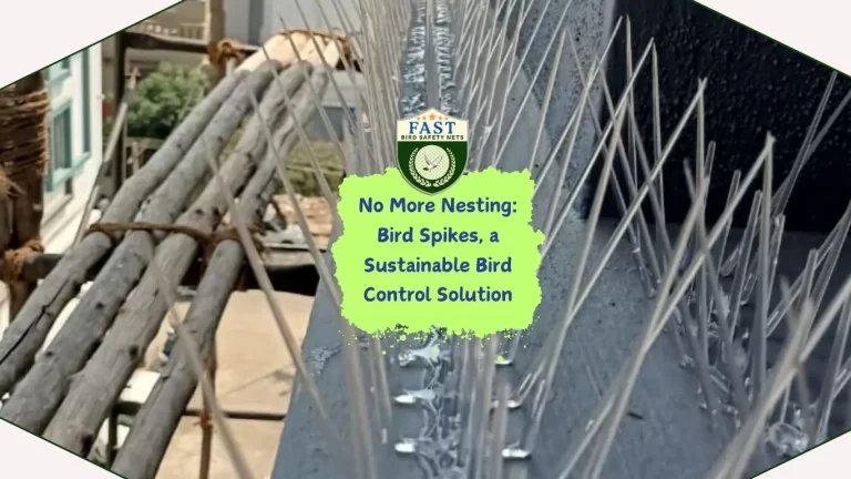 No More Nesting: Bird Deterrent Spike, a Sustainable Bird Control Solution