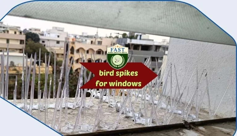 bird spikes for windows