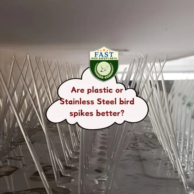 Are plastic or Stainless Steel bird spike better?