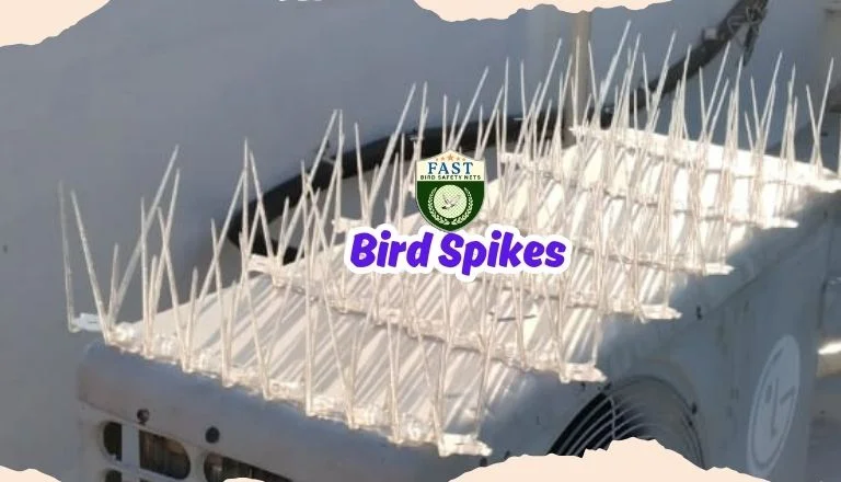 bird spikes fixing