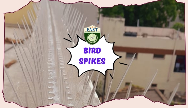 bird spikes fixing