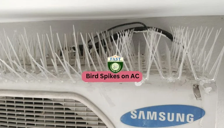 Bird Spikes on AC