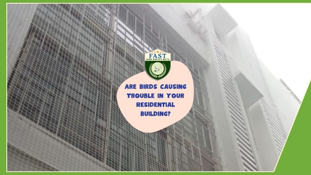 Birds are causing trouble in your residential building