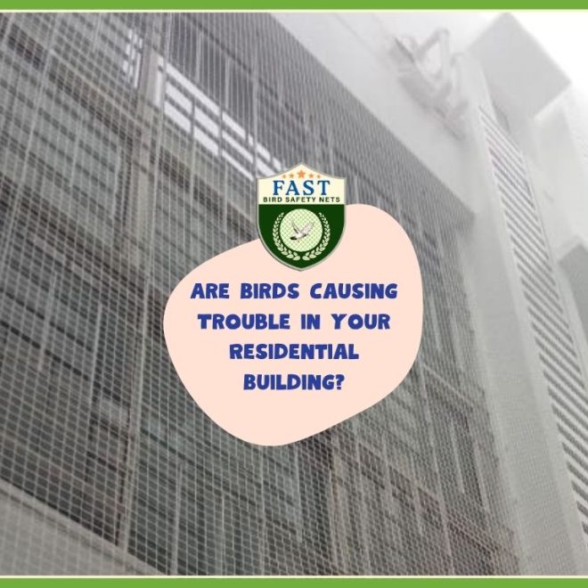Install Bird Net: The Solution to Bird Troubles in Your Residential Building