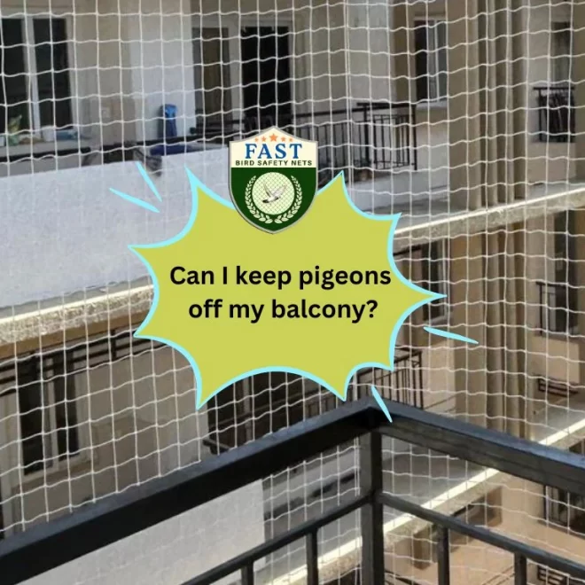 Can I keep pigeons off from balcony?