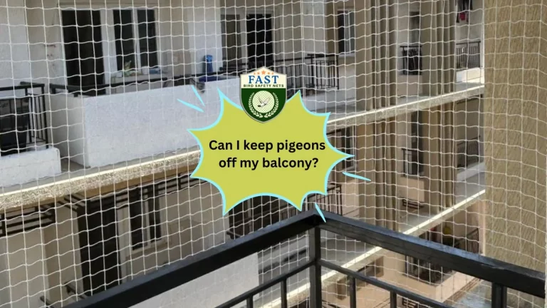Can I keep pigeons off from balcony?