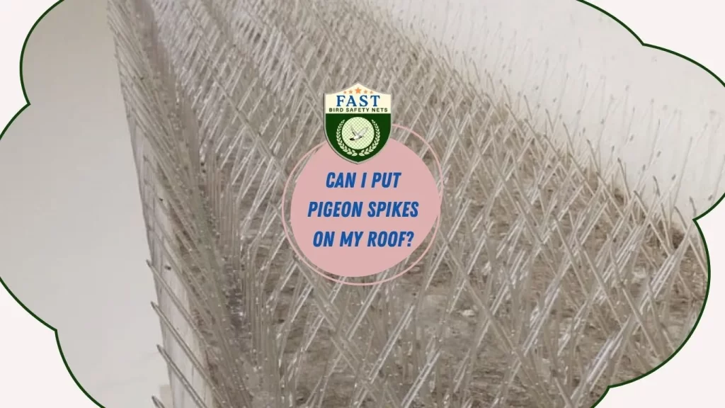 can i put pigeon spikes on my roof