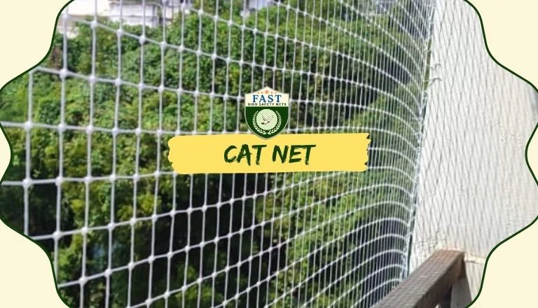 Cat Net