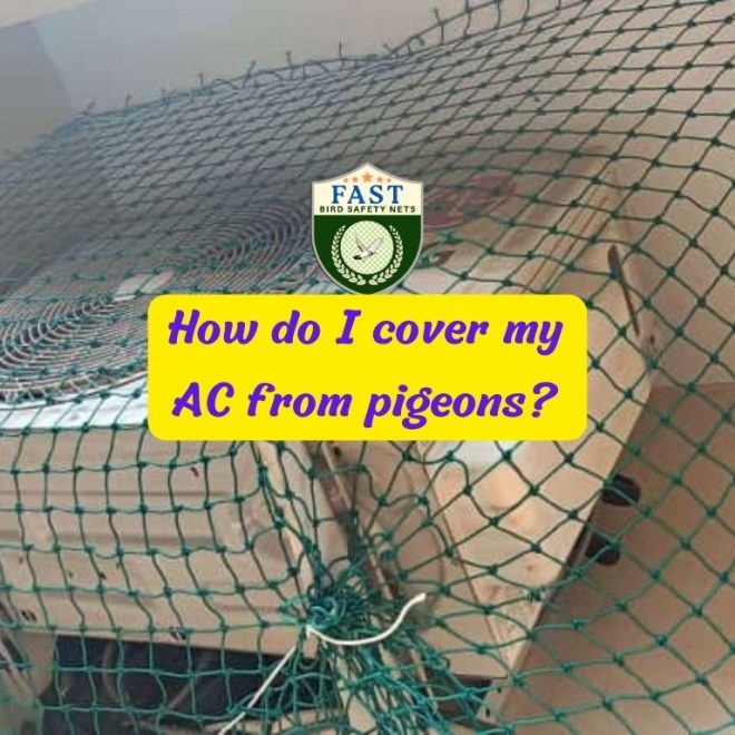 How do I cover my AC from pigeons?
