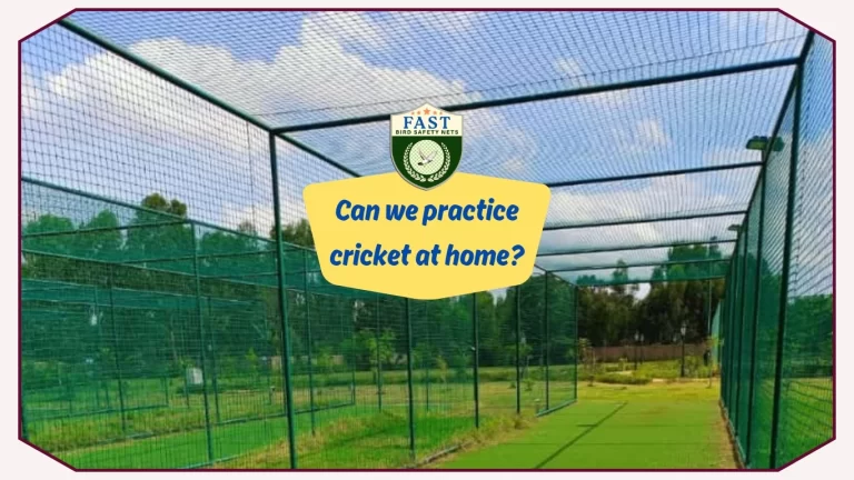 Can we practice cricket at home?