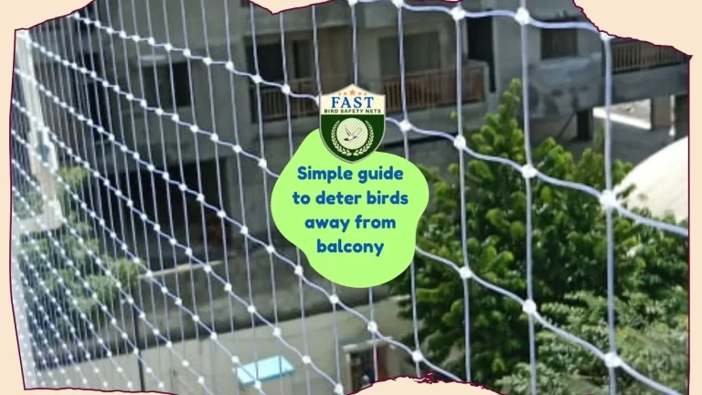 Simple guide to deter birds away from balcony
