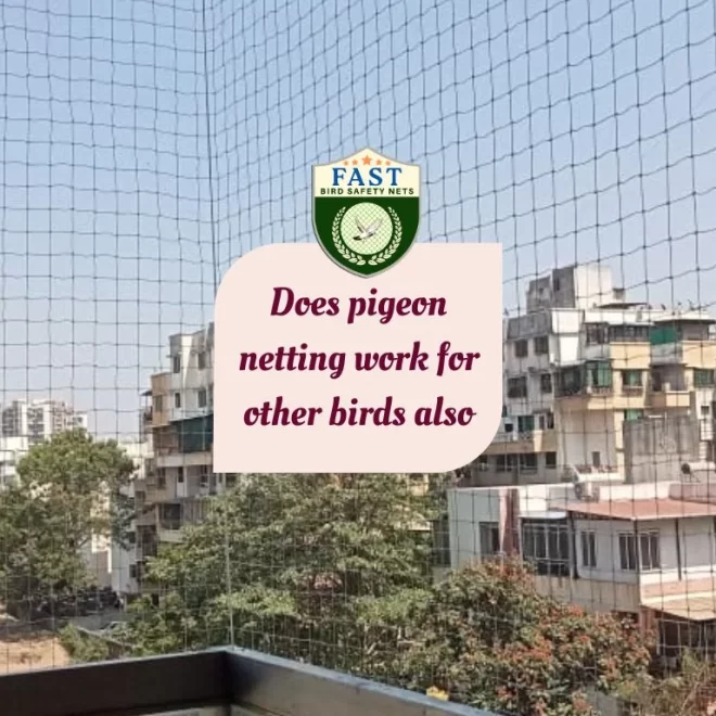 Does pigeon netting work for other birds also