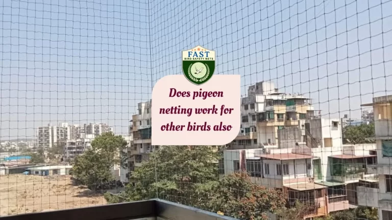 Does pigeon netting work for other birds also