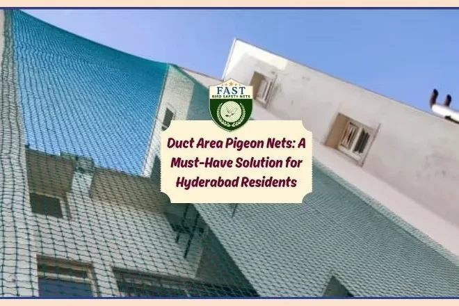 Duct Area Pigeon Nets: A Must-Have Solution for Hyderabad Residents