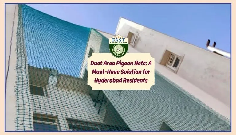 duct area pigeon nets in hyderabad