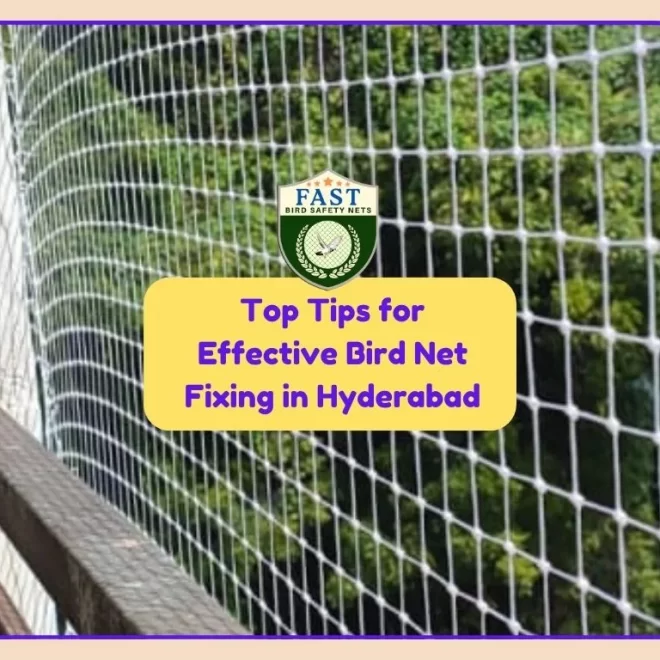 Top Tips for Effective Bird Net Fixing in Hyderabad