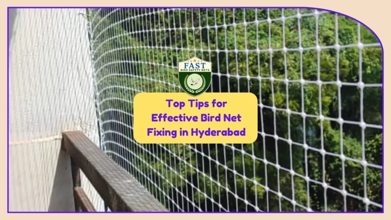 Top Tips for Effective Bird Net Fixing in Hyderabad