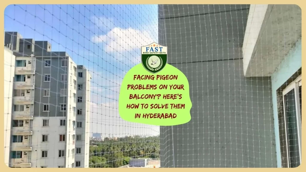 Facing Pigeon Problems on your balcony