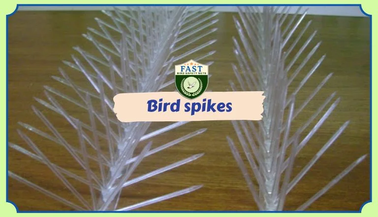 Fixing Bird Spikes