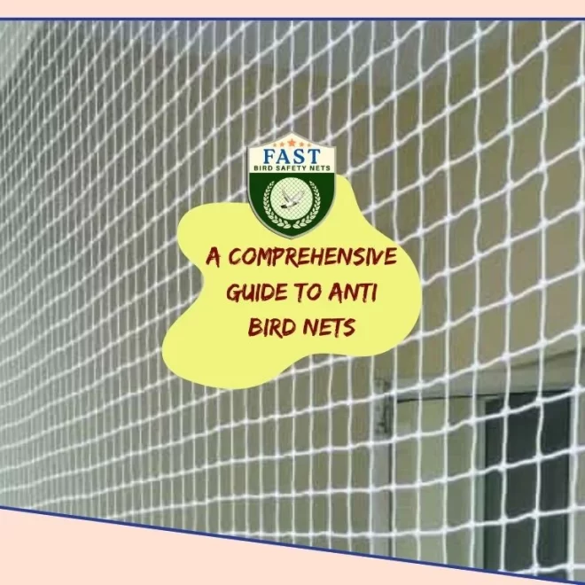 A Comprehensive Guide to Anti Bird Nets