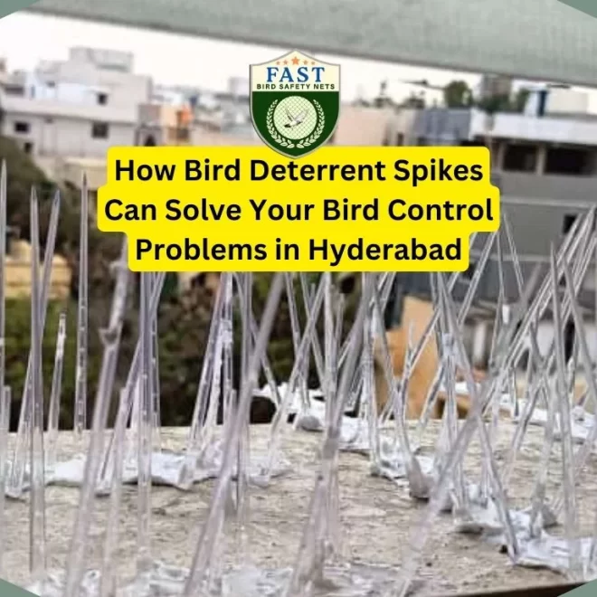 How Bird Deterrent Spikes Can Solve Your Bird Control Problems in Hyderabad