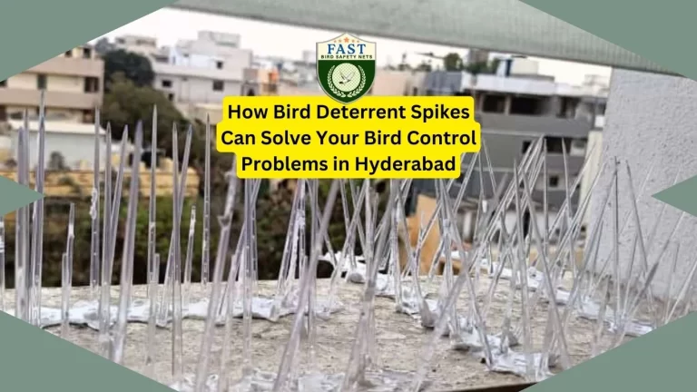 How Bird Deterrent Spikes Can Solve Your Bird Control Problems in Hyderabad