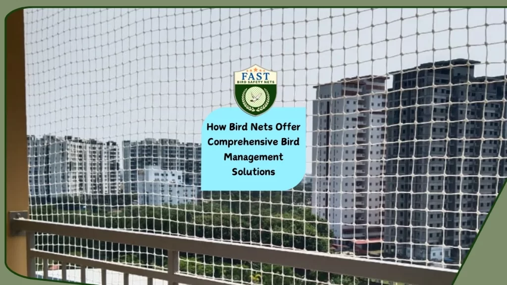 How Bird Nets Offer Comprehensive Bird Management Solutions