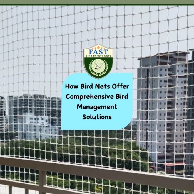 How Bird Control Nets Offer Comprehensive Bird Management Solutions?