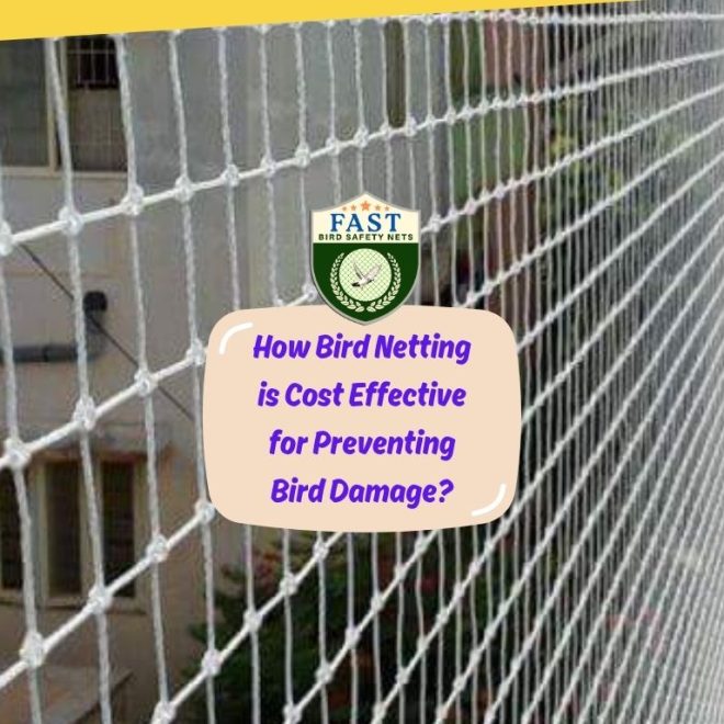 How Bird Netting is Cost Effective for Preventing Bird Damage?