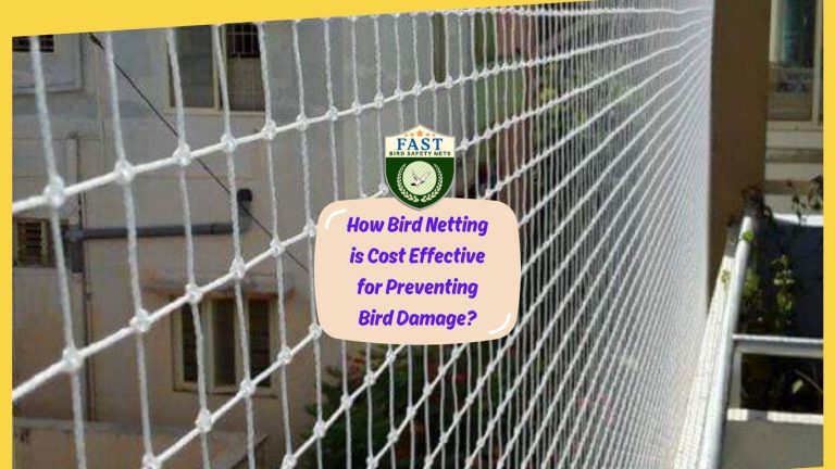 How Bird Netting is Cost Effective for Preventing Bird Damage?